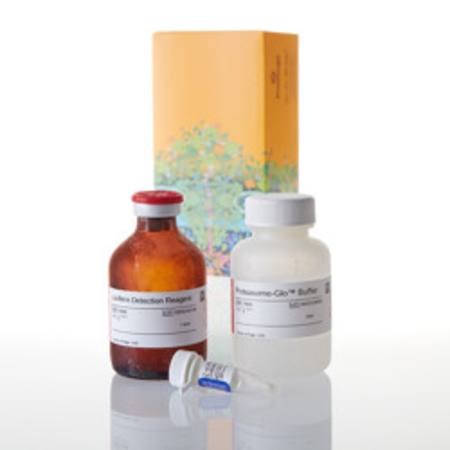 Buy Proteasome-Glo(TM) CaspaseLike Assay, 50ml in NZ. 