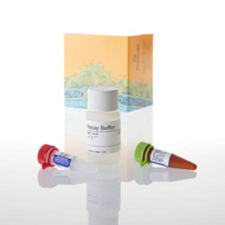 Buy CellTox(TM) Green Cytotoxicity Assay, 10 ml in NZ.