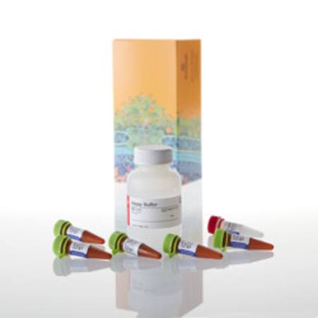 Buy CellTox(TM) Green Cytotoxicity Assay, 50 ml in NZ. 