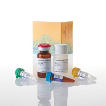 Buy Proteasome-Glo(TM) TrypsinLike Cell-Based Assay, 10ml in NZ.