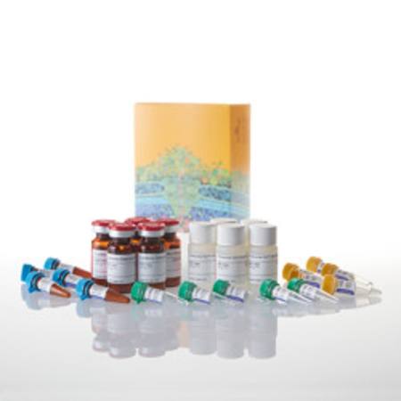 Buy Proteasome-Glo(TM) TrypsinLike Cell-Based Assay, 5x10ml in NZ.