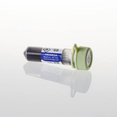 Buy Magne(TM) Protein A Beads, 20% Slurry, 1ml in NZ.