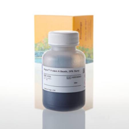 Buy Magne(TM) Protein A Beads, 20% Slurry, 50ml in NZ.