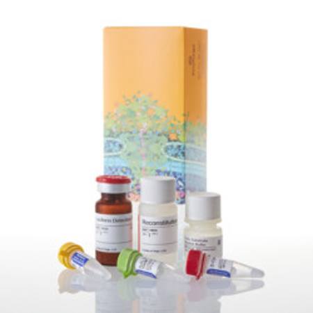 Buy ROS-Glo(TM) H202 Assay, 10ml in NZ.