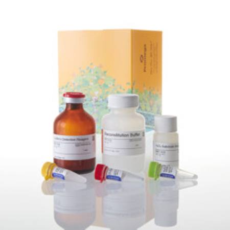 Buy ROS-Glo(TM) H202 Assay, 50ml in NZ.