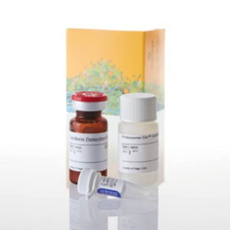 Buy Proteasome-Glo(TM) CaspaseLike Cell-Based Assay, 10ml in NZ.