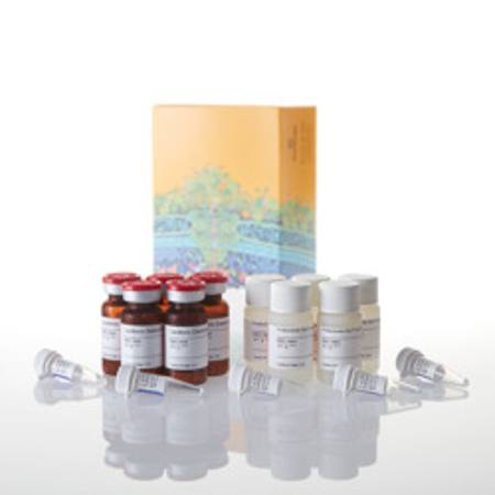 Buy Proteasome-Glo(TM) CaspaseLike Cell-Based Assay, 5x10ml in NZ.