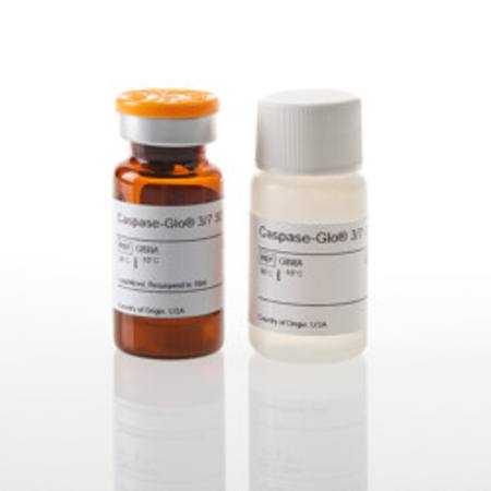 Buy Caspase-Glo(R) 3/7 3D Assay, 10ml in NZ.