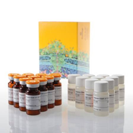 Buy Caspase-Glo(R) 3/7 3D Assay, 10 x 10ml in NZ.