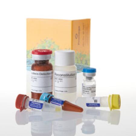 Buy NAD/NADH-Glo(TM) Assay, 10ml in NZ. 