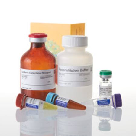 Buy NADP/NADPH-Glo(TM) Assay, 50ml in NZ.