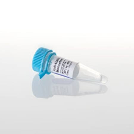Buy Anti-HaloTag(R) Monoclonal Antibody in NZ.