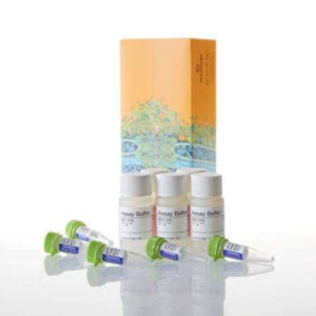 Buy CytoTox-Fluor(TM) Cytotoxicity Assay, 5 x 10ml in NZ.
