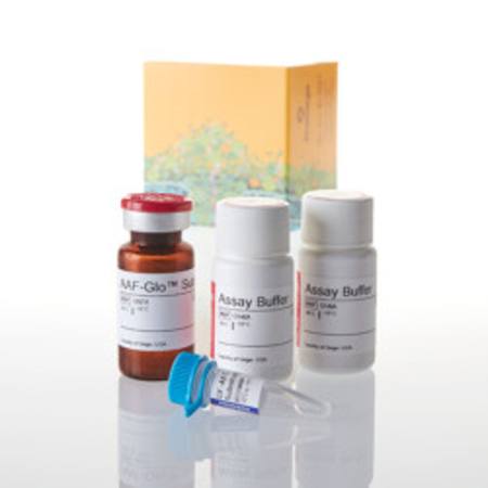 Buy MultiTox-Glo Multiplex Cytotoxicity Assay, 10ml in NZ.