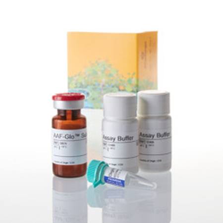 Buy CytoTox-Glo(TM) Cytotoxicity Assay, 10ml in NZ. 