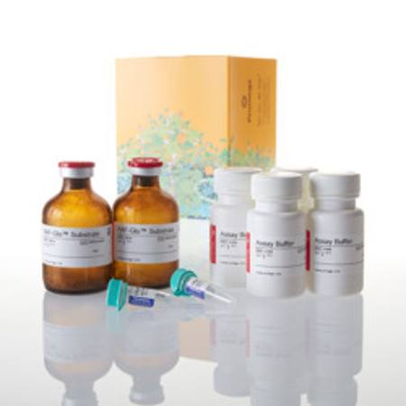Buy CytoTox-Glo(TM) Cytotoxicity Assay, 2 x 50ml in NZ.