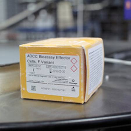 Buy ADCC Bioassay Effector Cells, F Variant, Propagation Model in NZ. 