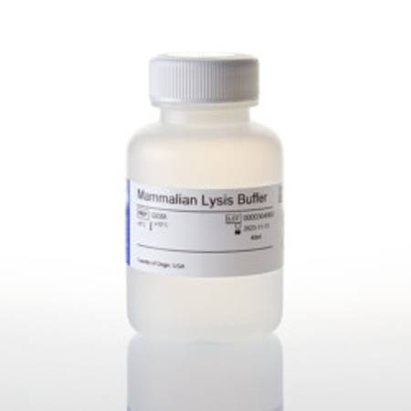Mammalian Lysis Buffer, 40ml