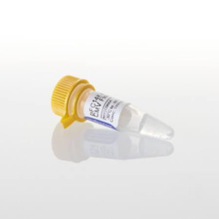 pFC14K HaloTag(R) CMV Flexi(R) Vector, 20ug