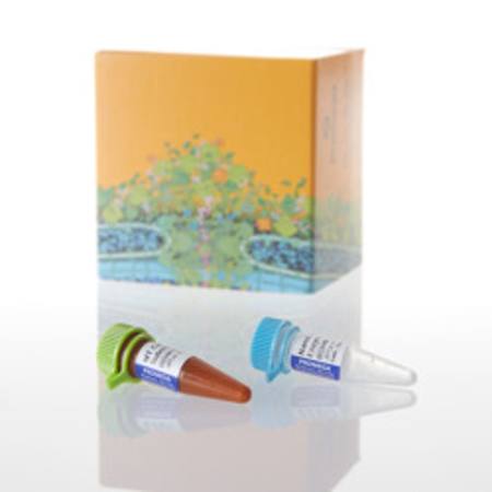Buy RealTime-Glo(TM) MT Cell Viability Assay, 100 RXN in NZ.