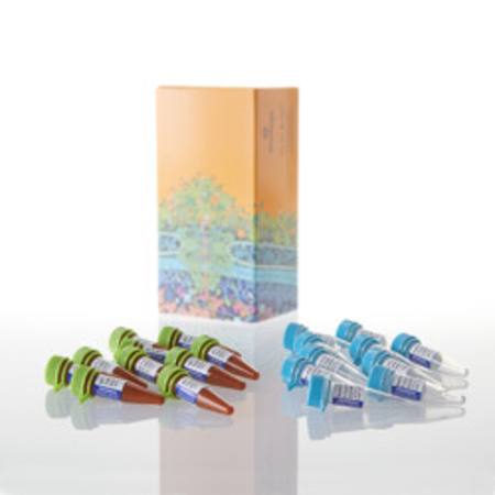Buy RealTime-Glo(TM) MT Cell Viability Assay, 10X100 RXN in NZ.