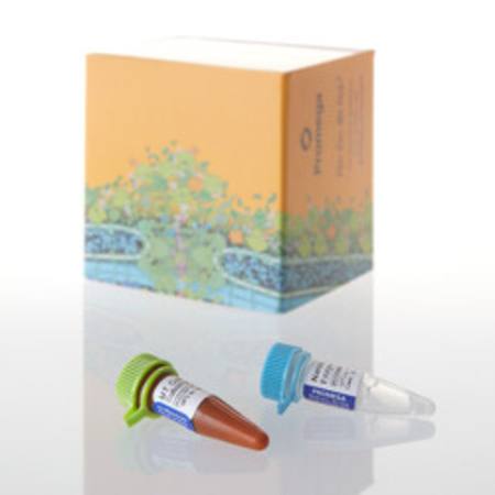 Buy RealTime-Glo(TM) MT Cell Viability Assay, 1000 RXN in NZ. 