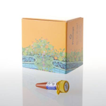 Buy HaloTag(R) NanoBRET(R) 618 Ligand 20ul in NZ. 