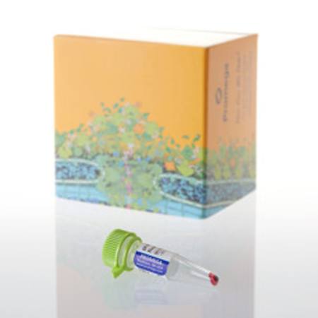 Buy pHAb Amine Reactive Dye, 250ug in NZ.