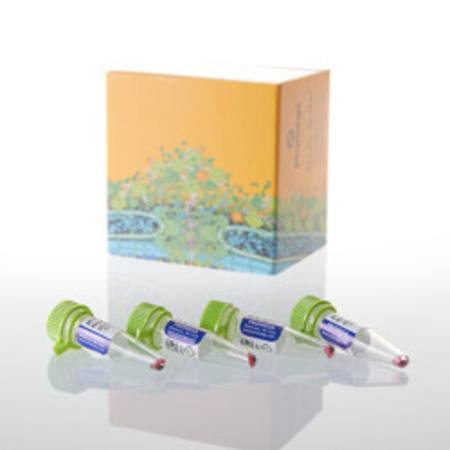 Buy pHAb Amine Reactive Dye, 1 mg in NZ.