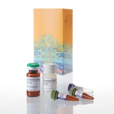 Buy Caspase-Glo(R) 1 Inflammasome Assay, 10ml in NZ. 