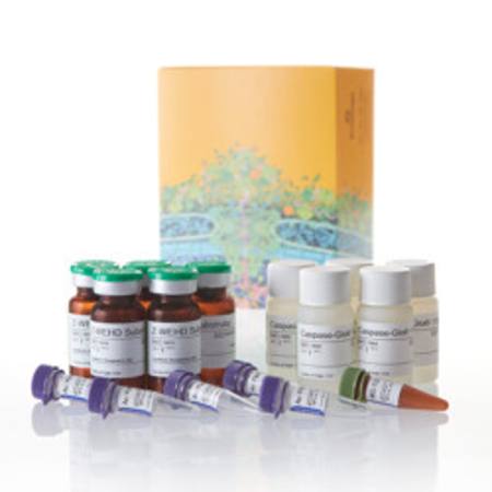 Buy Caspase-Glo(R) 1 Inflammasome Assay, 5x10ml in NZ.