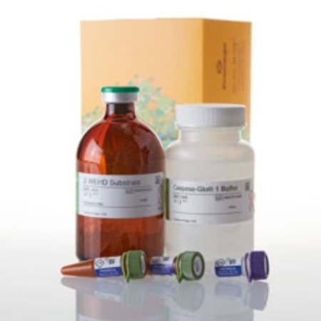 Buy Caspase-Glo(R) 1 Inflammasome Assay, 100ml in NZ. 