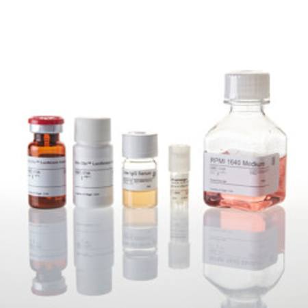 Buy FcgammaRIIa-H ADCP Reporter Bioassay, Core Kit in NZ.