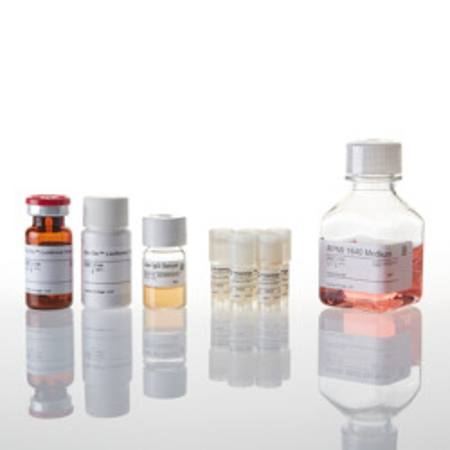 Buy FcgammaRIIa-H ADCP Reporter Bioassay, Core Kit 5X in NZ.