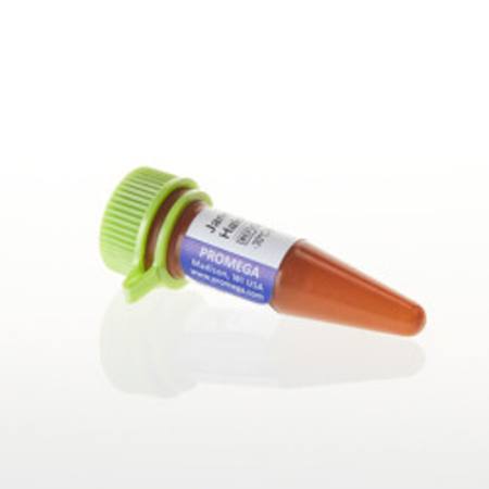 Janelia Fluor(R) 549 HaloTag(R) Ligand