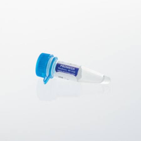 Buy Control Ab, Anti-CD20 in NZ.