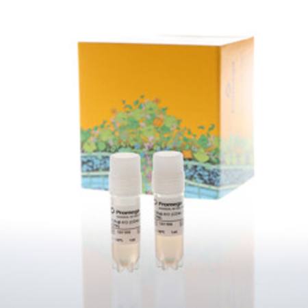 Buy TCA Bioassay TCRalphabeta-KO CD4+/8+ CPM in NZ.