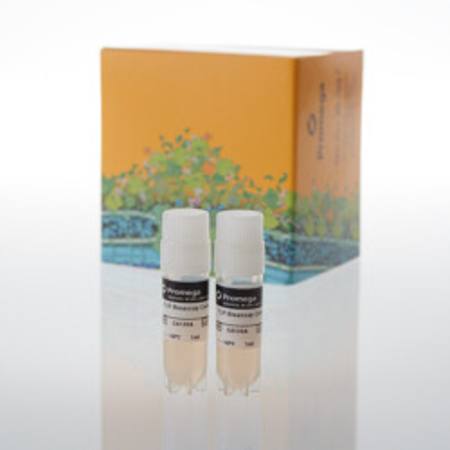 Buy TLR Bioassay Cells, Propagation Model in NZ.