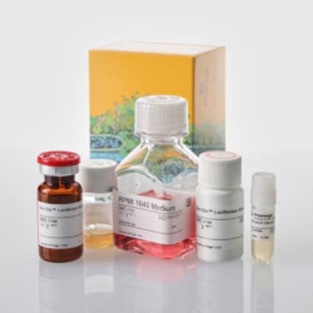 Buy FcyRI ADCP Reporter Bioassay, Core Kit in NZ.
