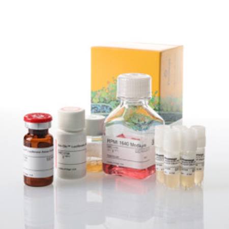 Buy FcyRI ADCP Bioassay, Core Kit 5X in NZ.