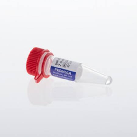 Buy ent-HaloPROTAC3, 2.5mM, 20uL in NZ.