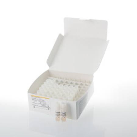 Buy Raji (LDH-HiBiT) CD19/20-KO Cell Bank in NZ.