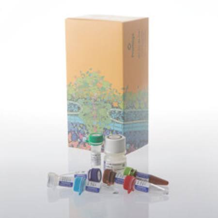 Buy Lumit(R) Cell Proliferation Assay (Human Ki-67), 100 assays in NZ.