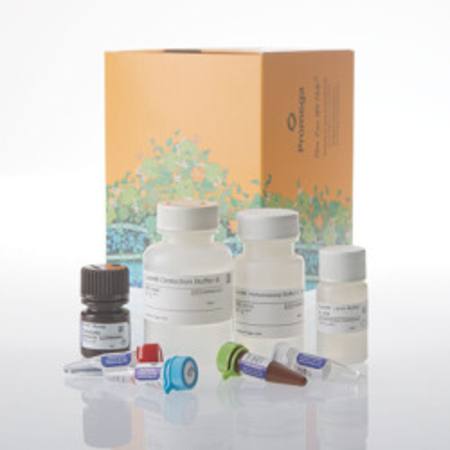Buy Lumit(R) Cell Proliferation Assay (Human Ki-67), 1000 assays in NZ.