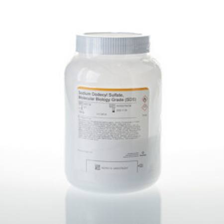 Buy Sodium Dodecyl Sulfate, 500gm in NZ.