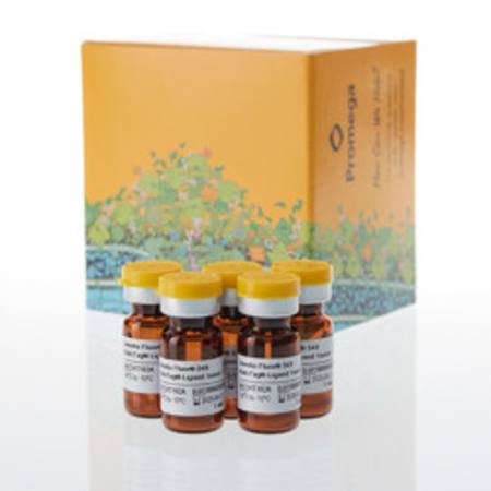 Buy Janelia Fluor(R) 549 HaloTag(R) Ligand in NZ.