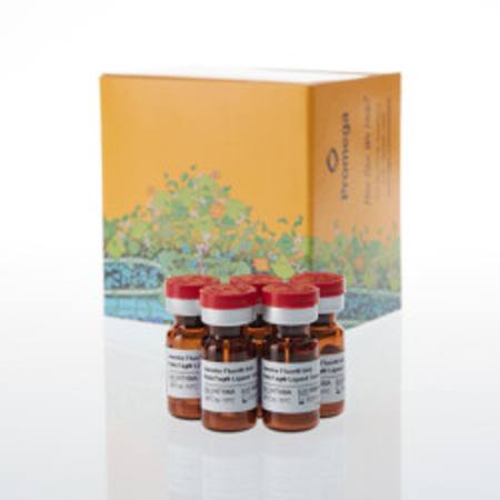 Buy Janelia Fluor(R) 646 HaloTag(R) Ligand in NZ.