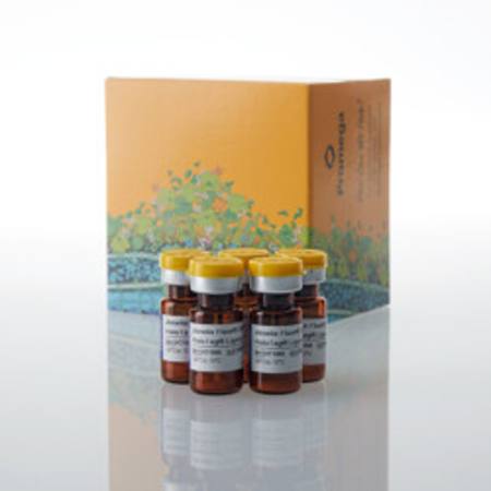 Buy Janelia Fluor(R) 549i HaloTag(R) Ligand, 5 pack in NZ.