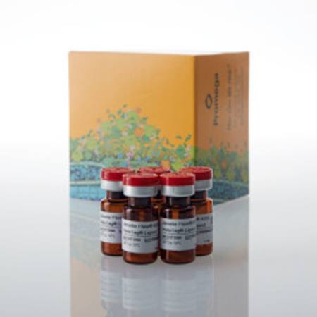 Buy Janelia Fluor(R) 635i HaloTag(R) Ligand, 5 pack in NZ.