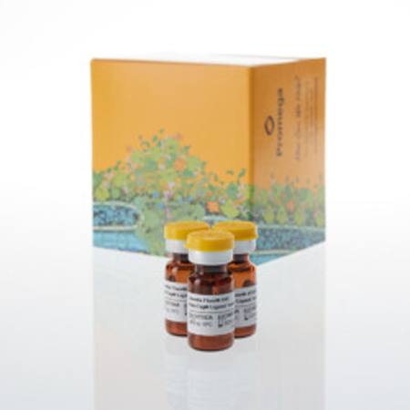 Buy Janelia Fluor(R) HaloTag(R) Red Sample Pack in NZ.